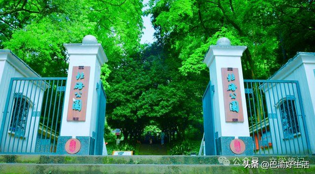 北碚公园竟是"大熊猫"命名地，原来藏着这么多秘密