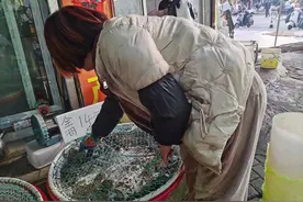 30-45元/斤！膏满黄肥的螃蟹在合肥大量上市图片