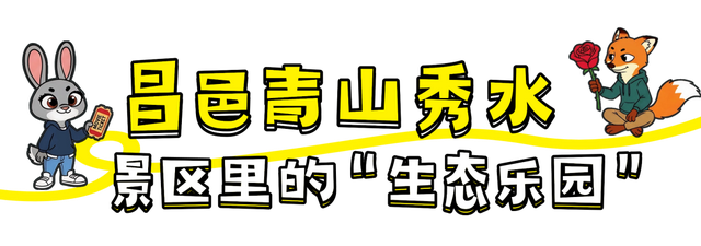 潍坊人有自己的“疯狂动物城”！冲！冲！冲！