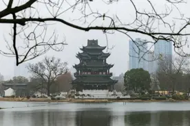 三条地铁可达，武汉市中心有处大自然的天然氧吧！图片