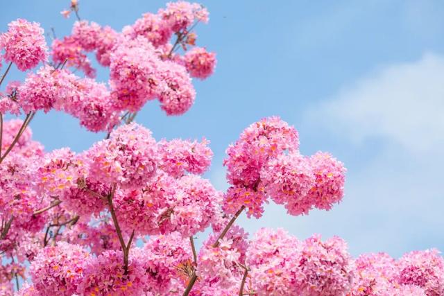 地理冷知识—12月份去哪旅游