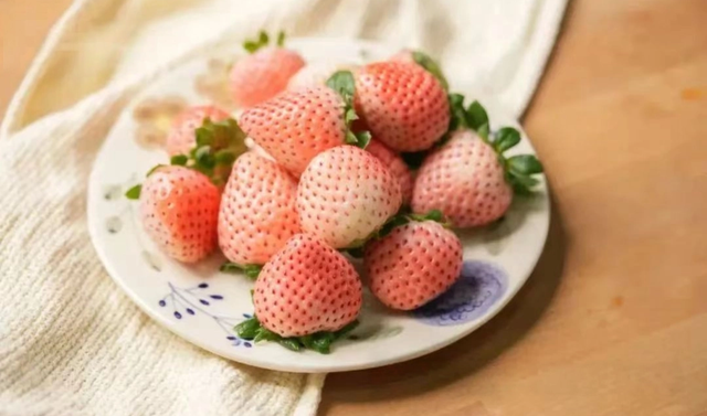 游在鹰潭 | 周末采摘指南！甘蔗清甜、草莓香甜，限定甜蜜等你来【全球学子嘉游赣 奇绝鹰潭逍遥游】