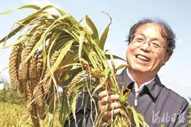 这道“世界难题”，被来自河北的他解开了！图片