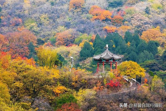 香山红叶摄影进阶：必须掌握这6个实战技巧，张张出大片成顶流
