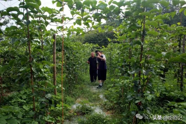 江西萍乡:发现一个新避暑胜地