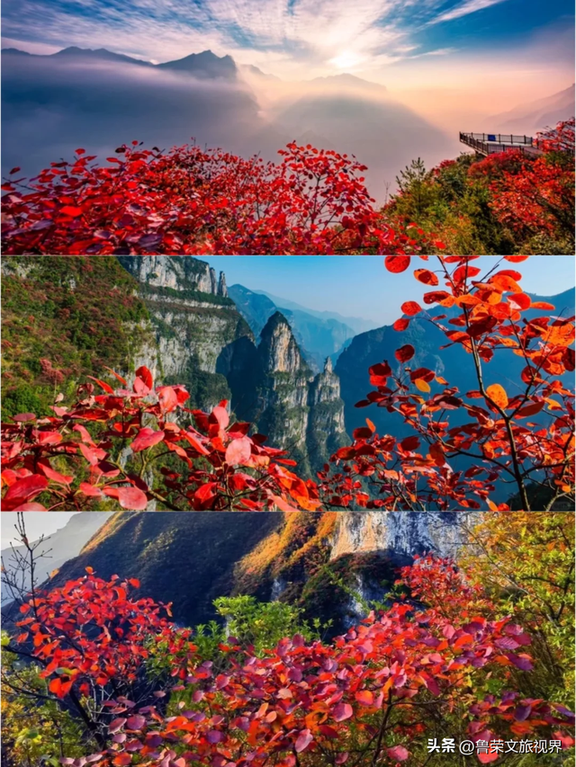 徒步三峡：霜叶漫山处，一步一千年