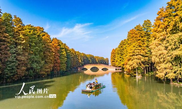 江苏兴化：湿地公园冬景如画