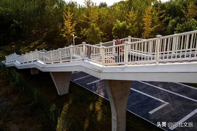 秦皇岛最大临海公园迎来"颜值巅峰",栈桥听海、枫林斑斓,打卡走起!
