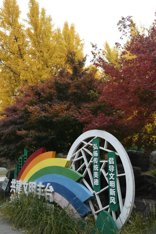 人在画中游！丰台花园秋色满园，错过再等一年，快来打卡~