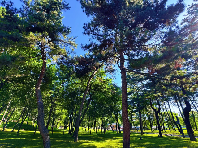 我是上海人，在承德待了 5 天，忍不住说：承德给我的 4 点印象。