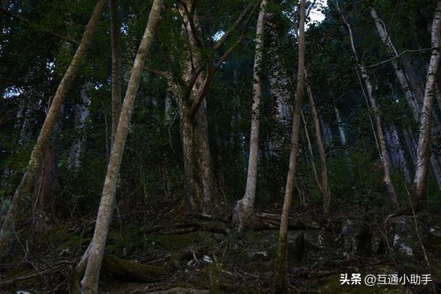 高品质成像：大光圈变焦镜头腾龙 35-150mm F/2-2.8 Di III VXD 评测