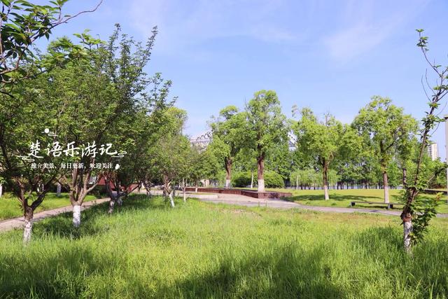 浙江宁波的江畔公园，湿地、溪谷、花海等一应俱全，堪称露营胜地