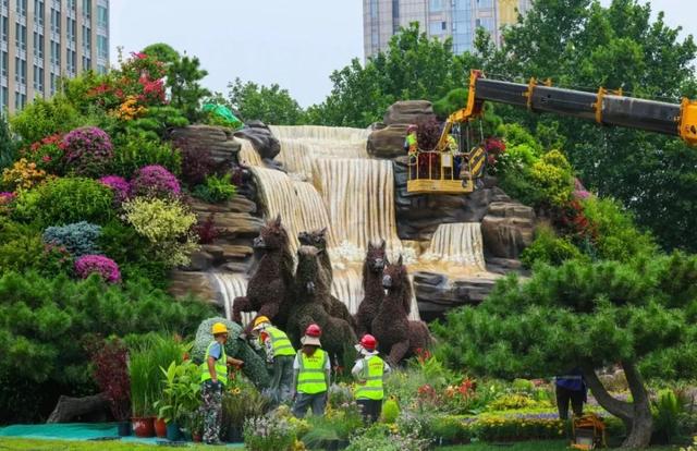 先睹为快！纪念抗战胜利80周年主题花坛搭建中→