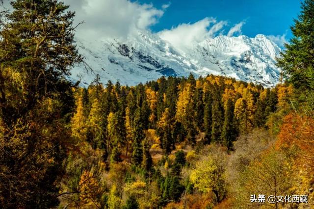 挖到国内巅峰秋景！半山秋色半山雪，不来西藏这里真的亏大了！
