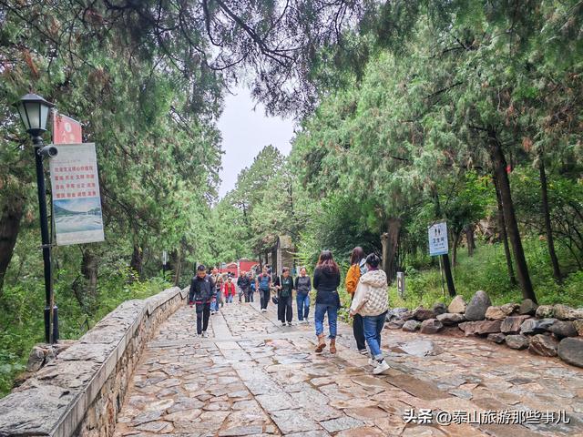 泰安：雨中的泰山红门登山口，280元登山助力机器人，你试过吗？
