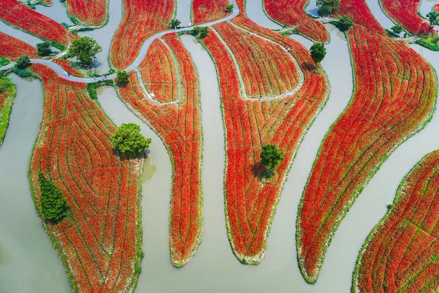 属马的速看！上海景区福利太香了