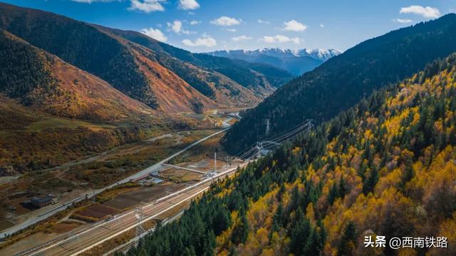 动车出行有多火?这个景区打破40年客流量纪录!