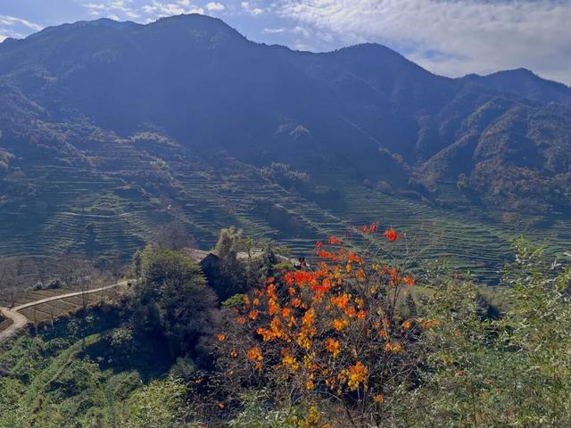 婺源篁岭：这个秋天，去篁岭去拍“晒秋”吧