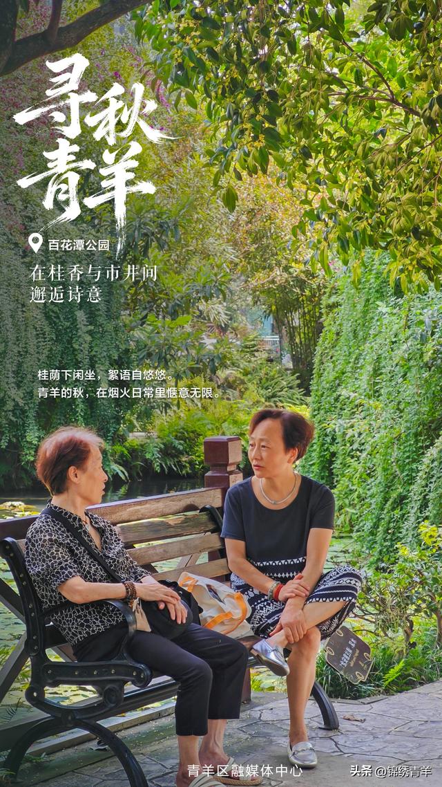 寻秋青羊：在桂香与市井间邂逅诗意