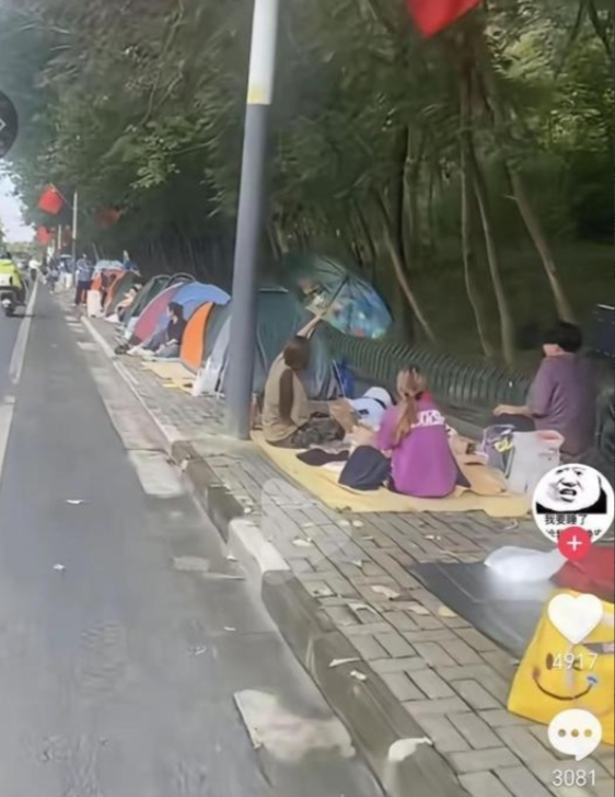出门堵八小时，酒店亏八万块：今年黄金周，到底谁在赚钱？