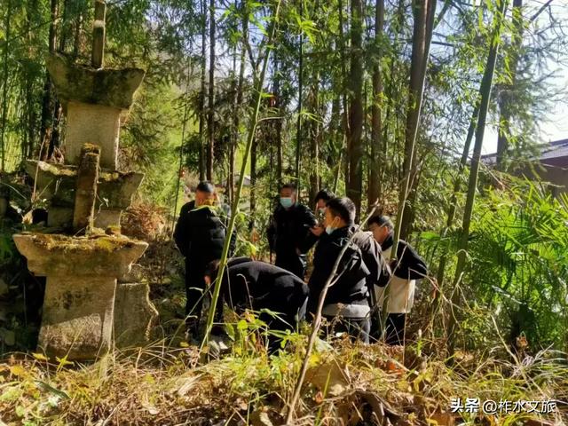 2025,柞水文旅这一年