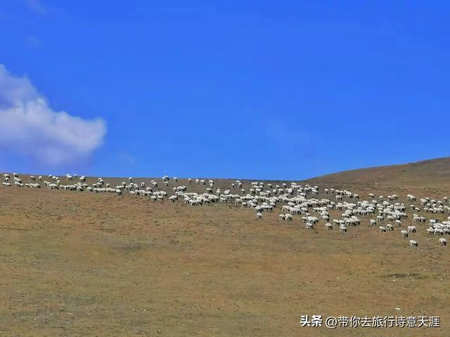 独库公路那拉提到巴音布鲁克的沿途风光