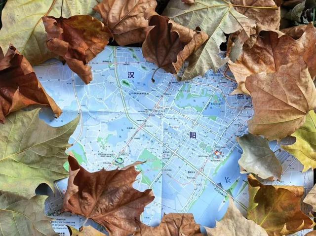在汉阳的秋天，捡出一个灵感宝库