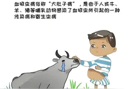 【疾控科普】全国血吸虫病防治宣传周——消除血吸虫病危害，守护人民健康图片