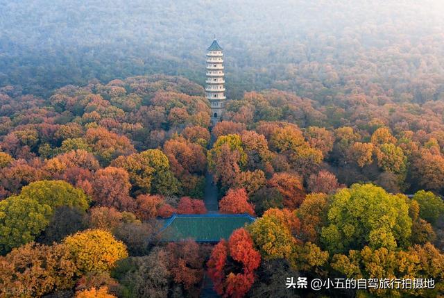 南京秋日赏景全攻略！8 大网红地 + 住宿推荐，红枫银杏梧桐全吃透