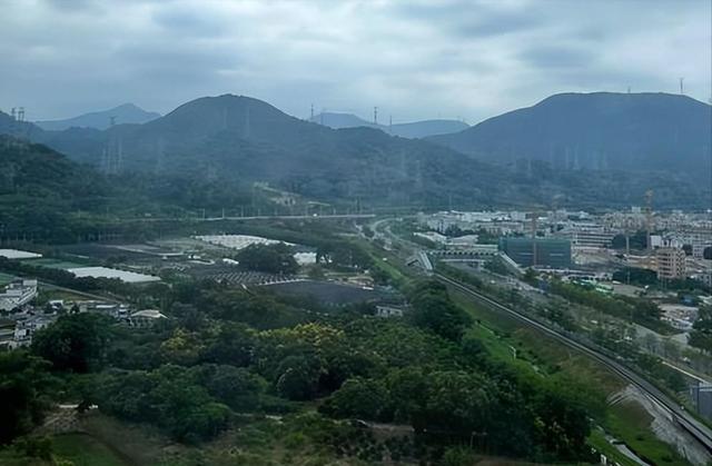 失联5人均已遇难！被曝死状惨烈，知情人曝真相，没一个值得同情