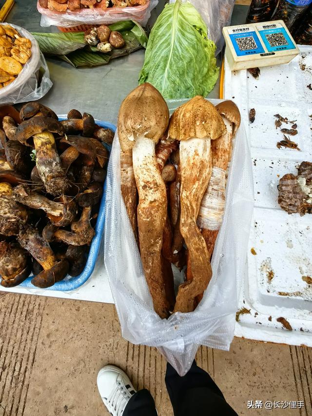 柴米油盐调味诗与远方,抚仙湖那一抹红