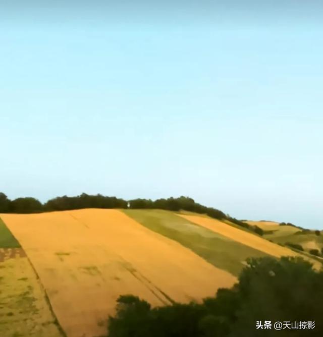 一二三，风吹麦浪