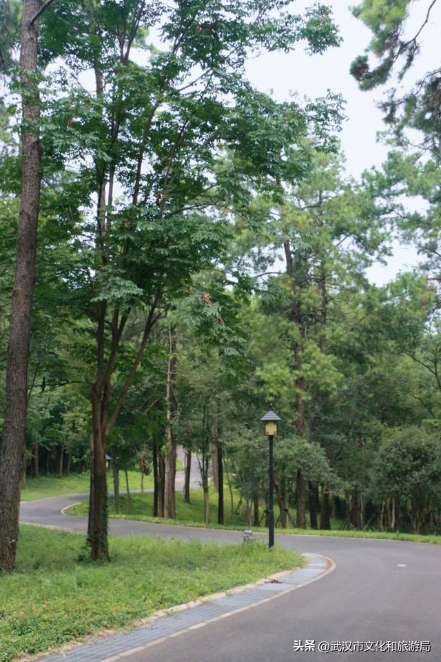 热热热！夏日避暑纳凉路线来啦