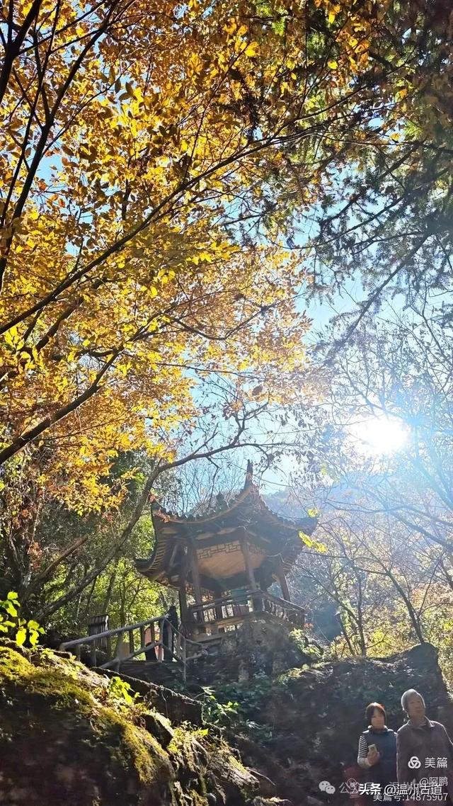 踏秋胜地,天脊龙门!浙江这个4A级景区已美成童话,等你来打卡