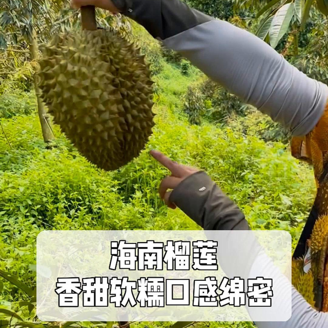 失去中国市场后，大量水果烂在地里卖不出去，才后悔“得罪”中国