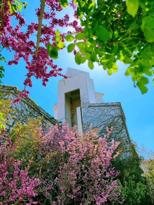 山东这座宝藏小城，坐拥中国四大名楼之一！苏轼、秦始皇都为它打call！