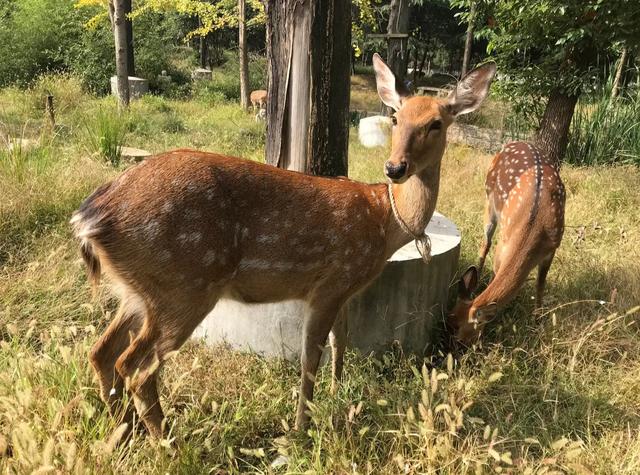 原来真的有城市，可以一天24小时都快乐~（1）