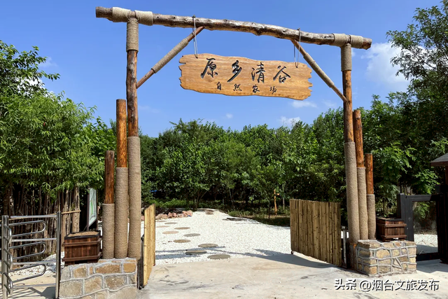【乐游烟台】周末好去处丨“浪浪山”外，烟台新开儿童乐园免费玩
