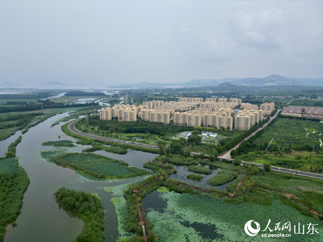 行进中国｜山东东平：湖清岸绿绘新卷