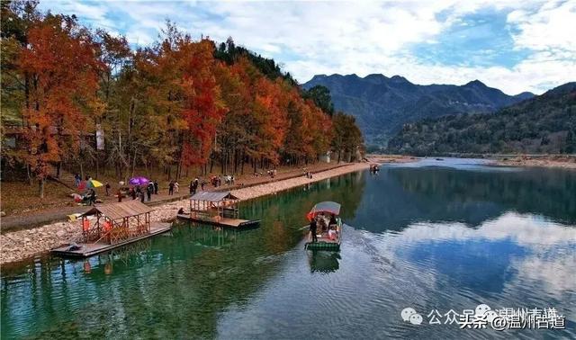 收好这份温州《红枫古道地图》，挑个好天气出门走走！