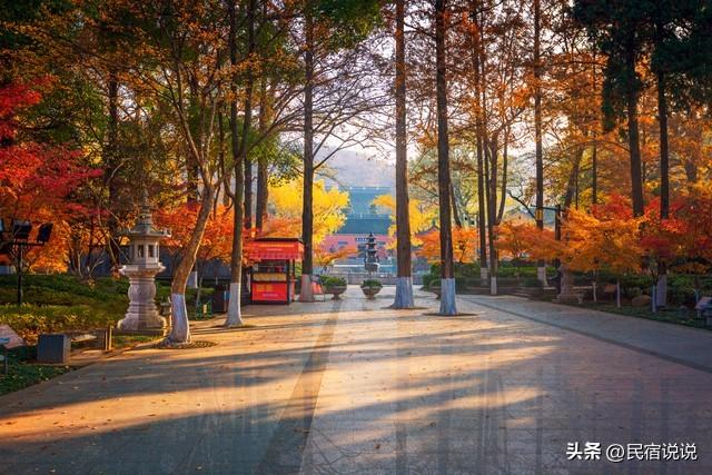 南京栖霞山突然狂圈粉！