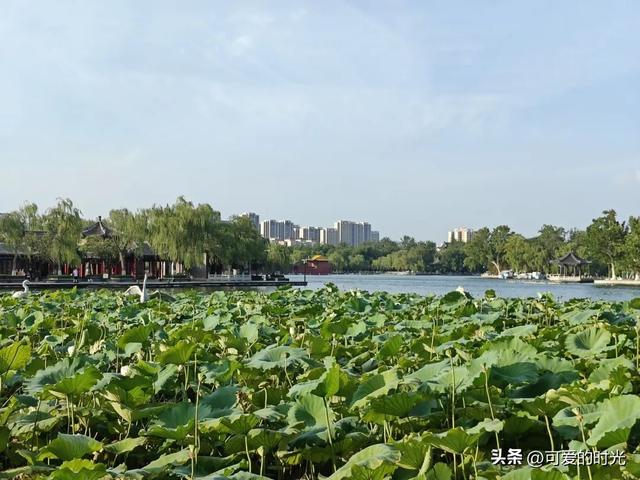 1000元实现了3天济南遛娃之旅