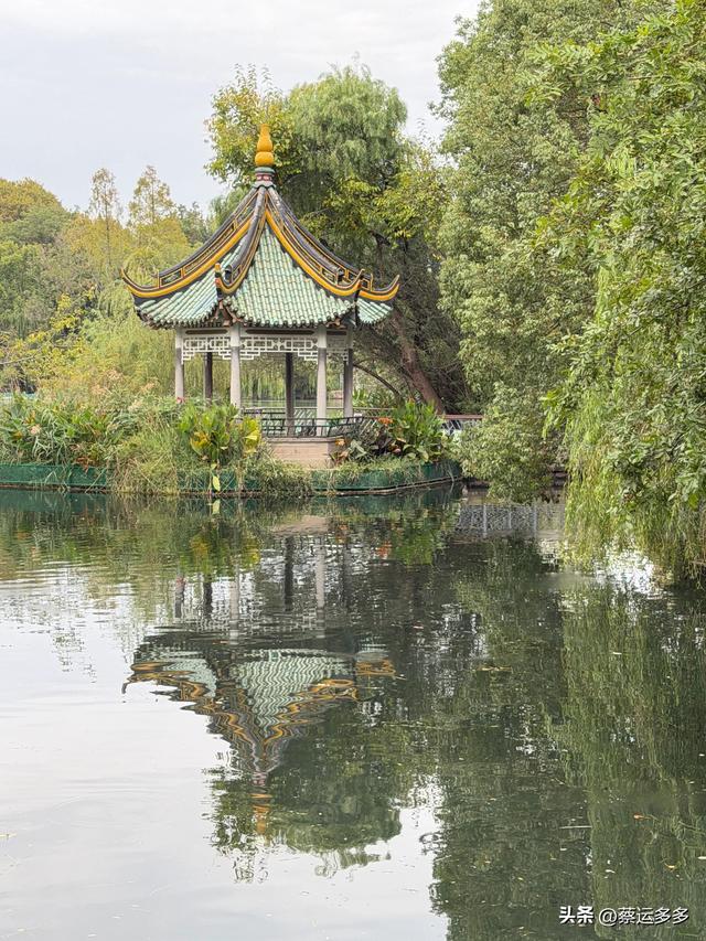 上海动物园的高颜值图鉴