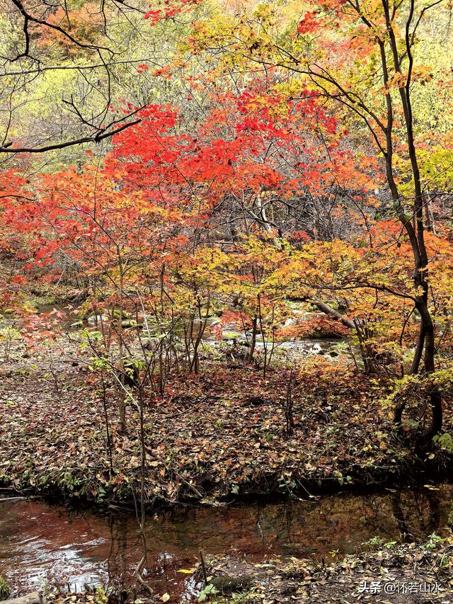 2025辽宁赏秋之旅日记(3)——游览洋湖沟和老边沟