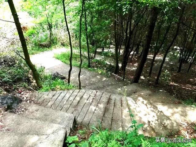 云岩青莲记