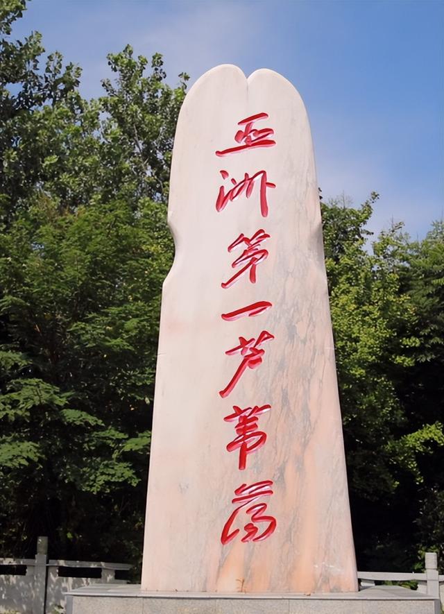 我的宝藏家乡 | 17万亩芦苇荡，亚洲No.1！生态宝库的天花板！