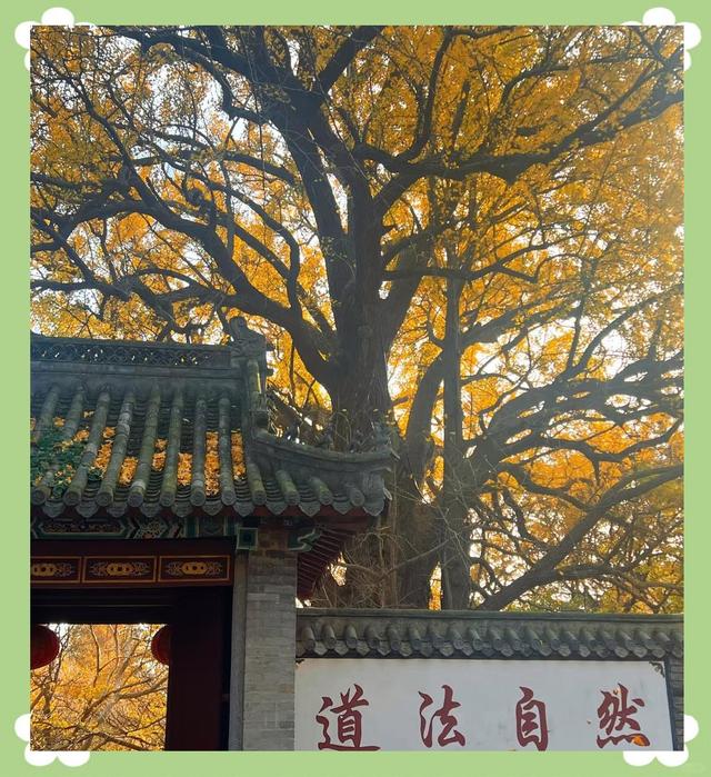 都江堰再添夜游新地标，“都江・夜堰”项目破土动工