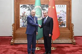 中阿发布联合声明，在巴以问题上亲自带队图片