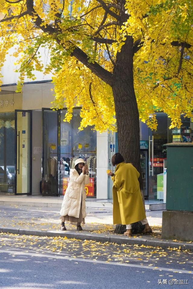 在“杏”福满满的大南街！这样拍超出片