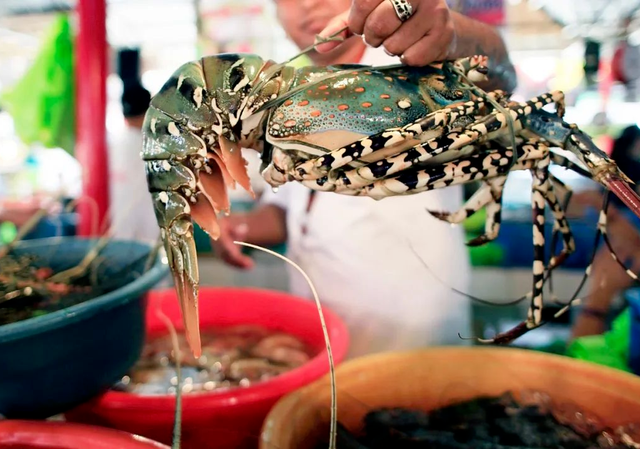 夜猫子集合！这才是海口夜游的正确打开方式